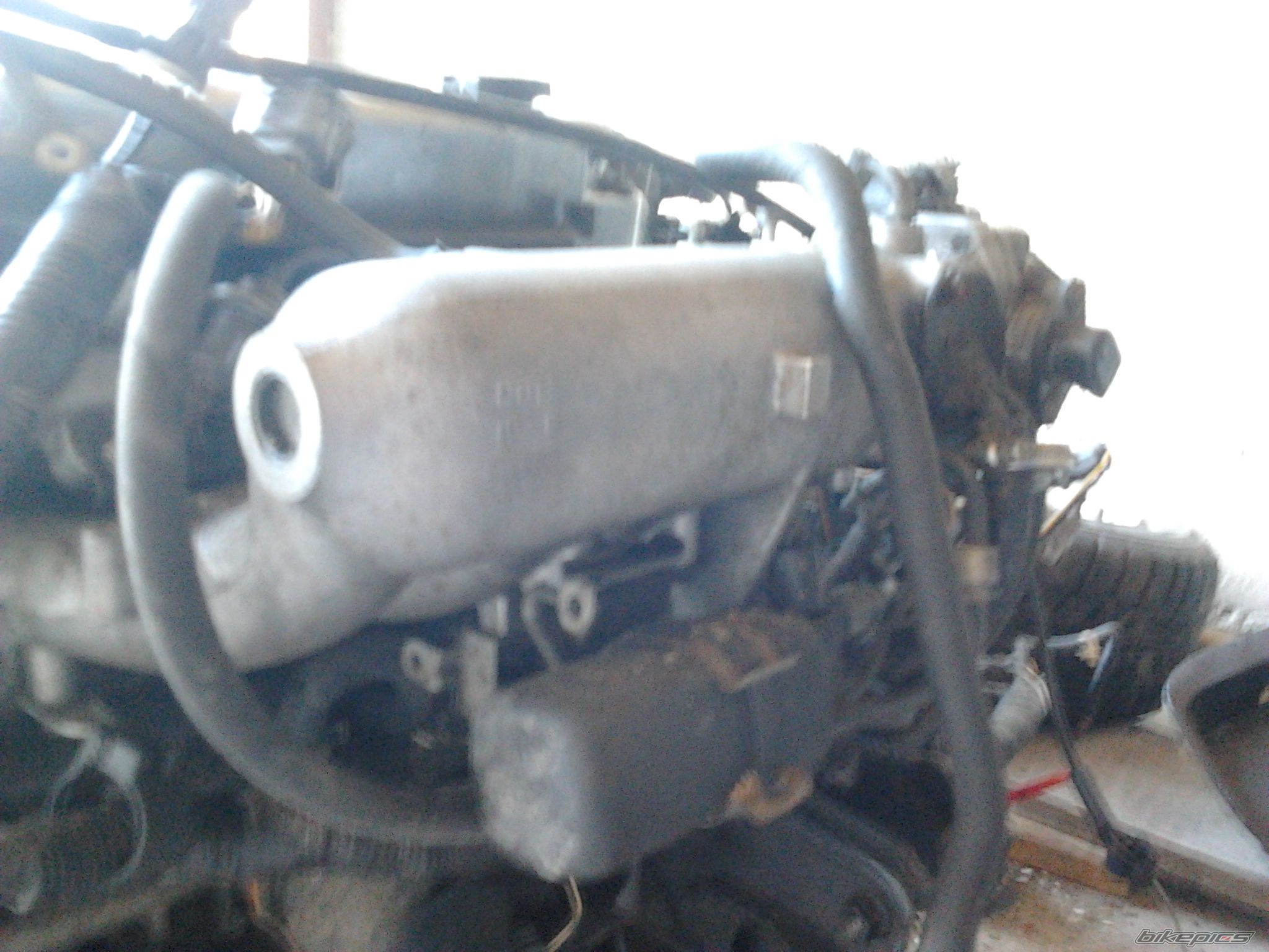 Photo 2523755