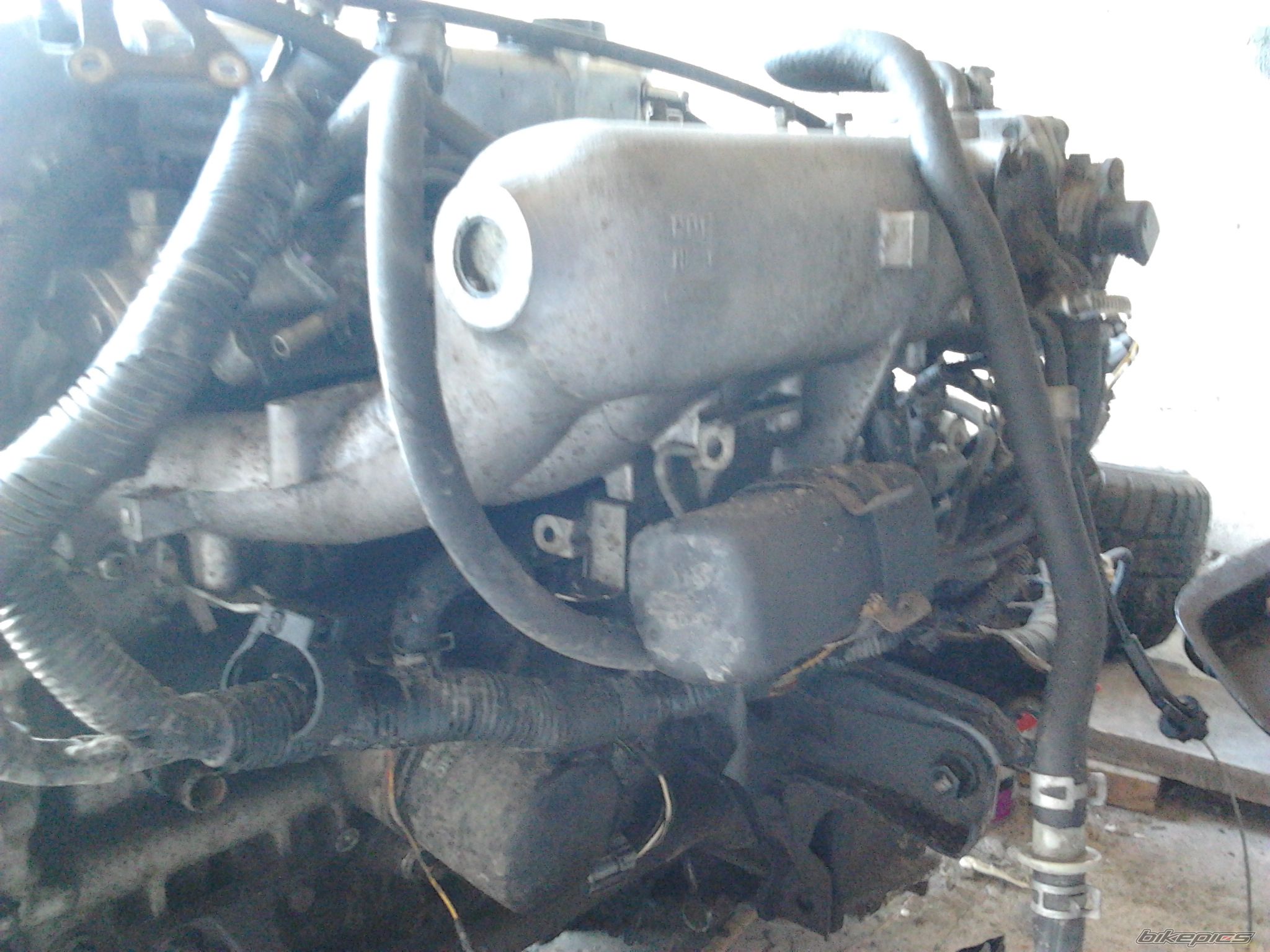 Photo 2523757
