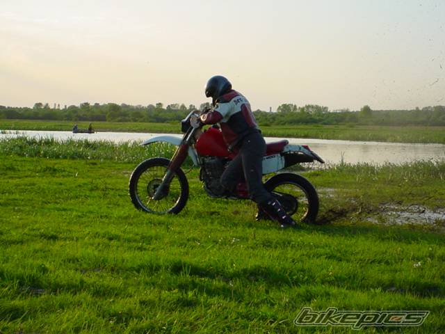 Photo 25238