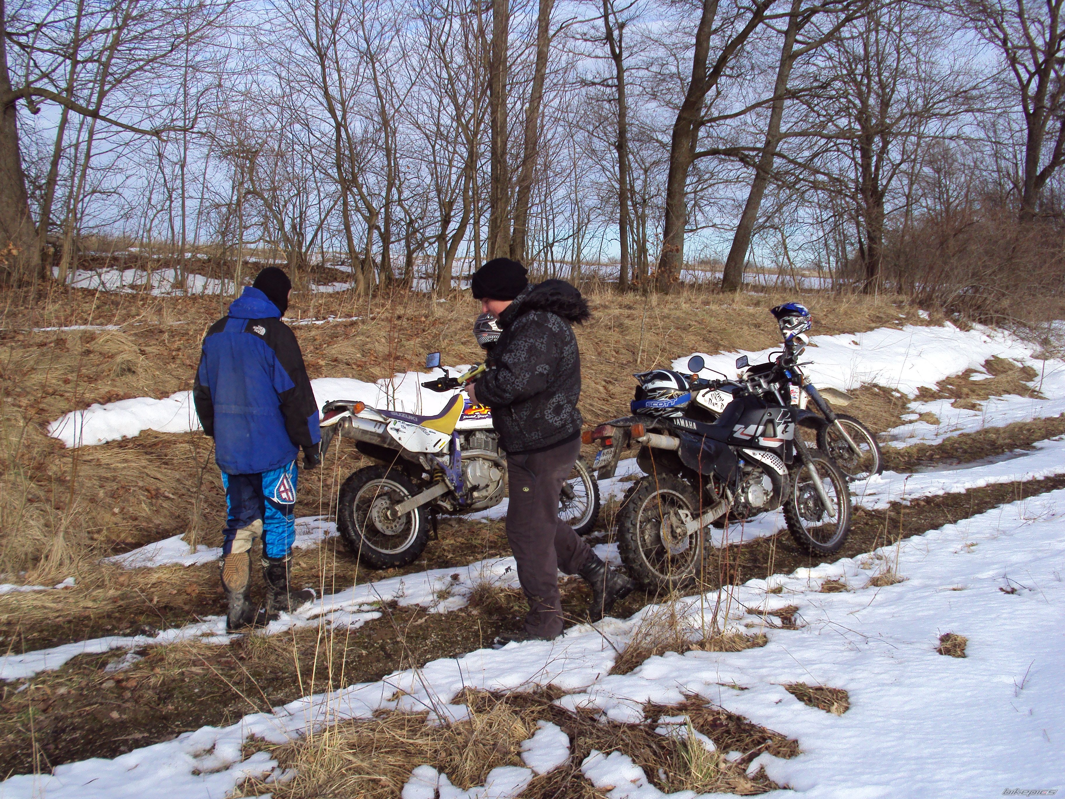 Photo 2523811