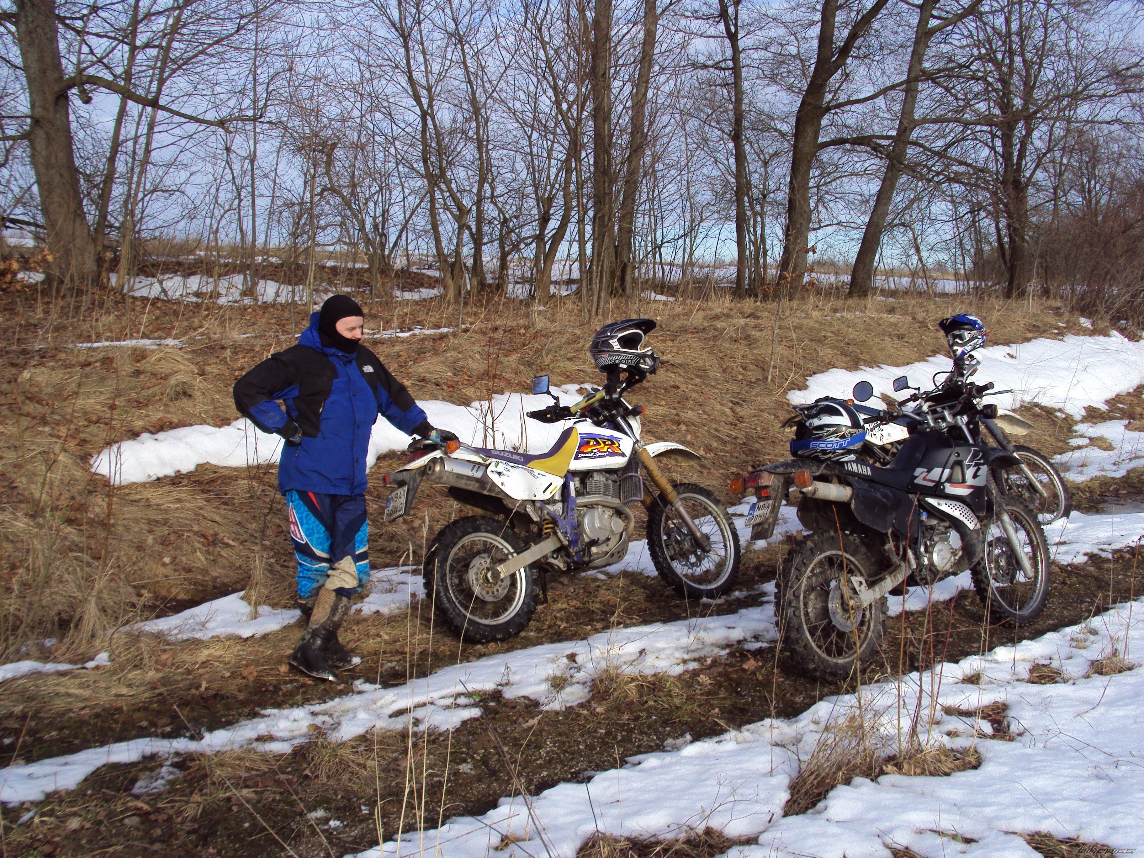 Photo 2523812