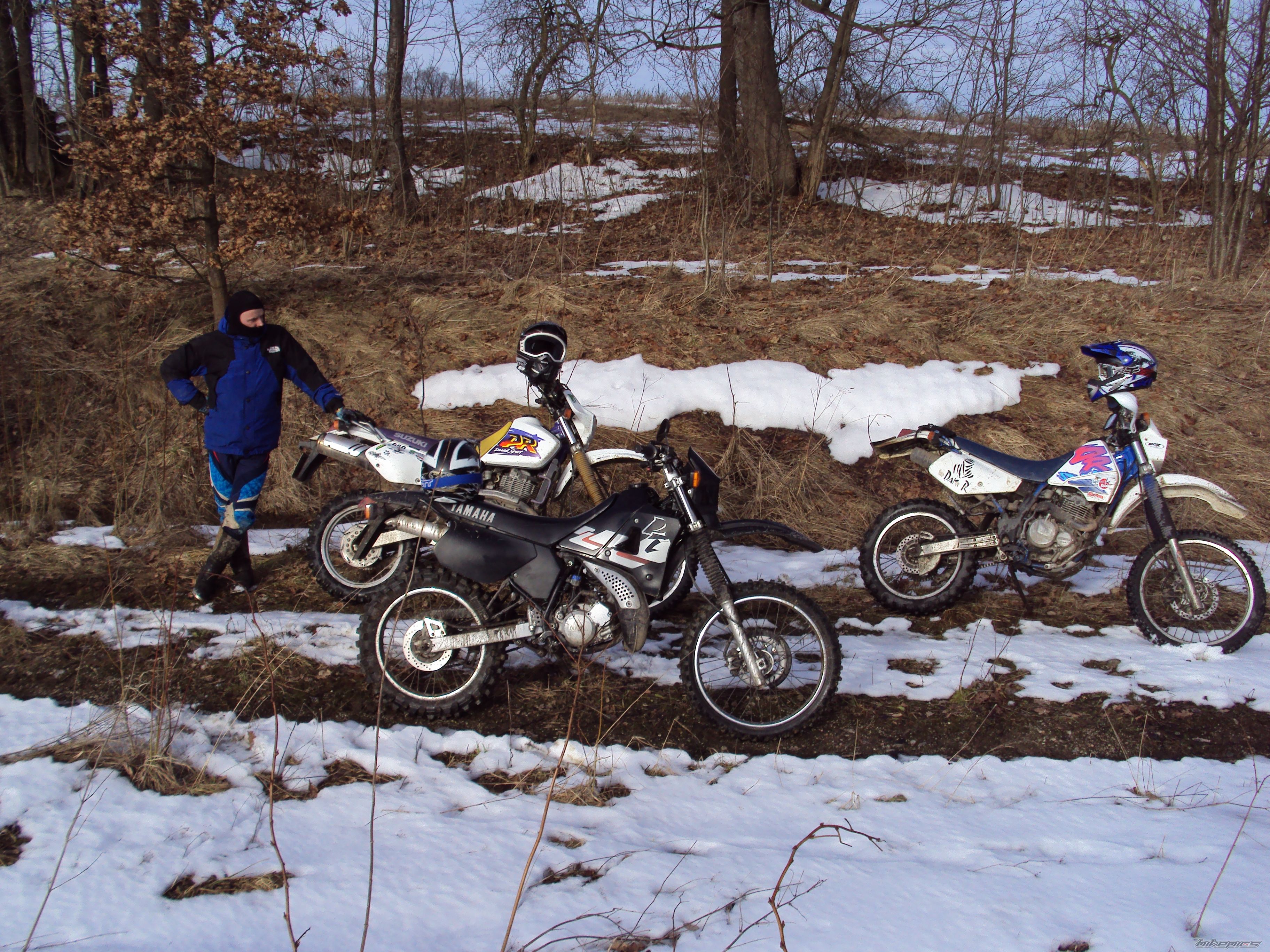 Photo 2523813