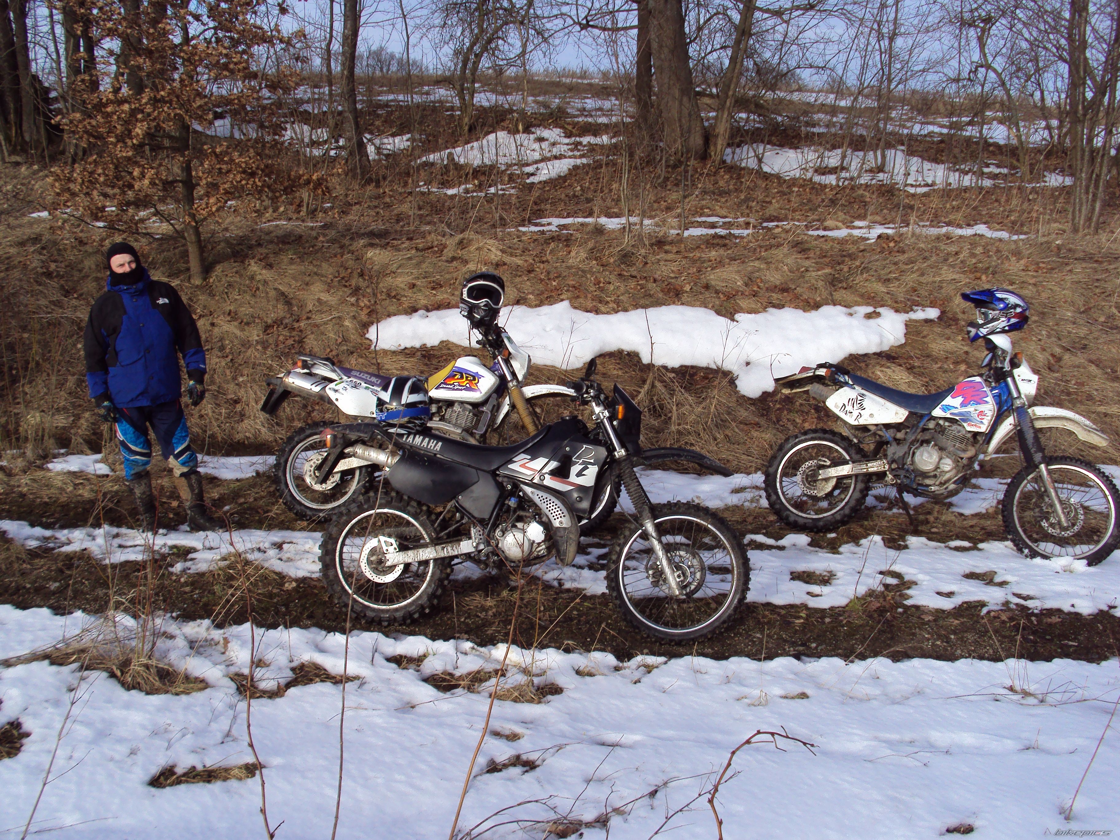 Photo 2523814
