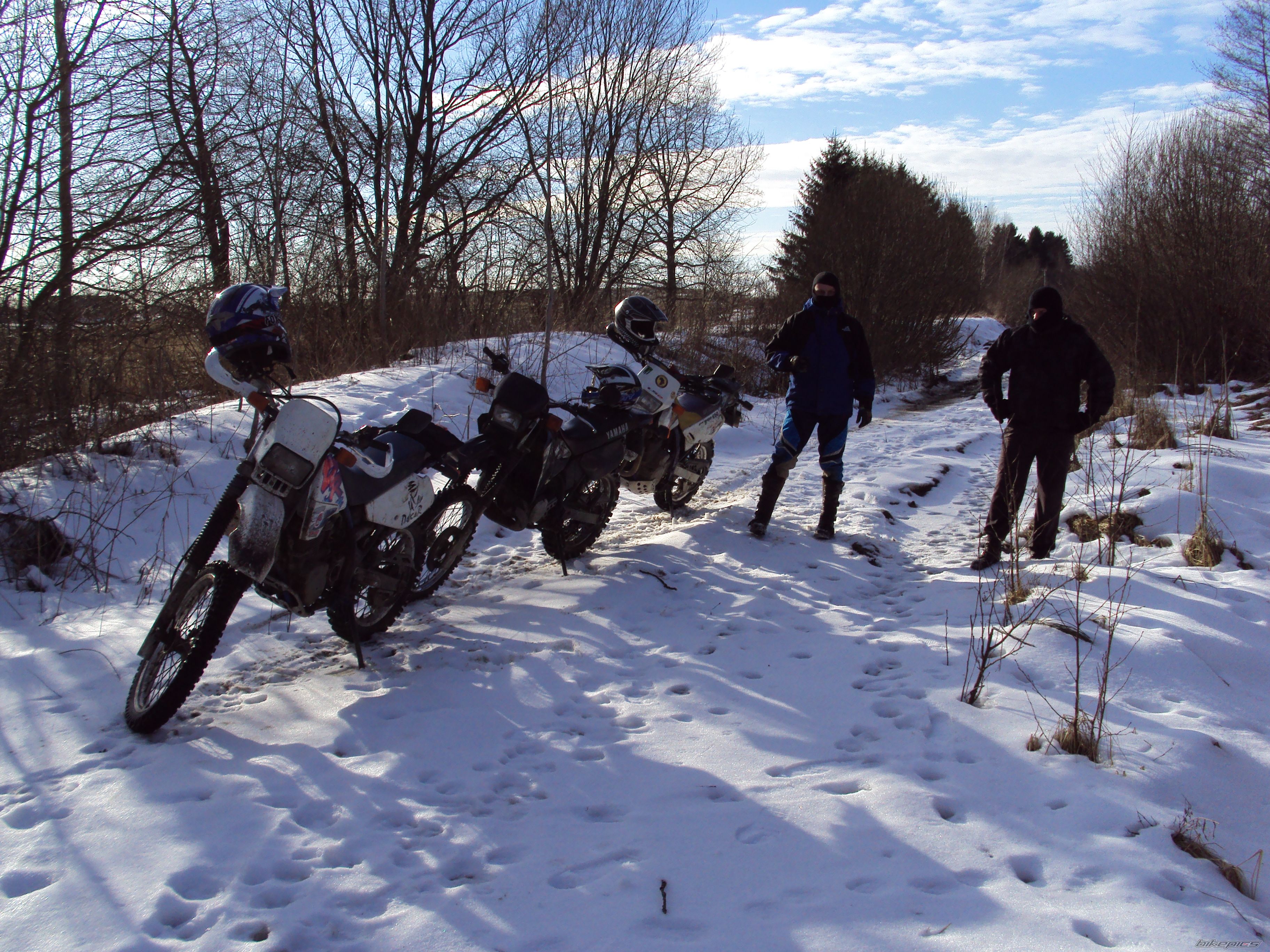 Photo 2523815