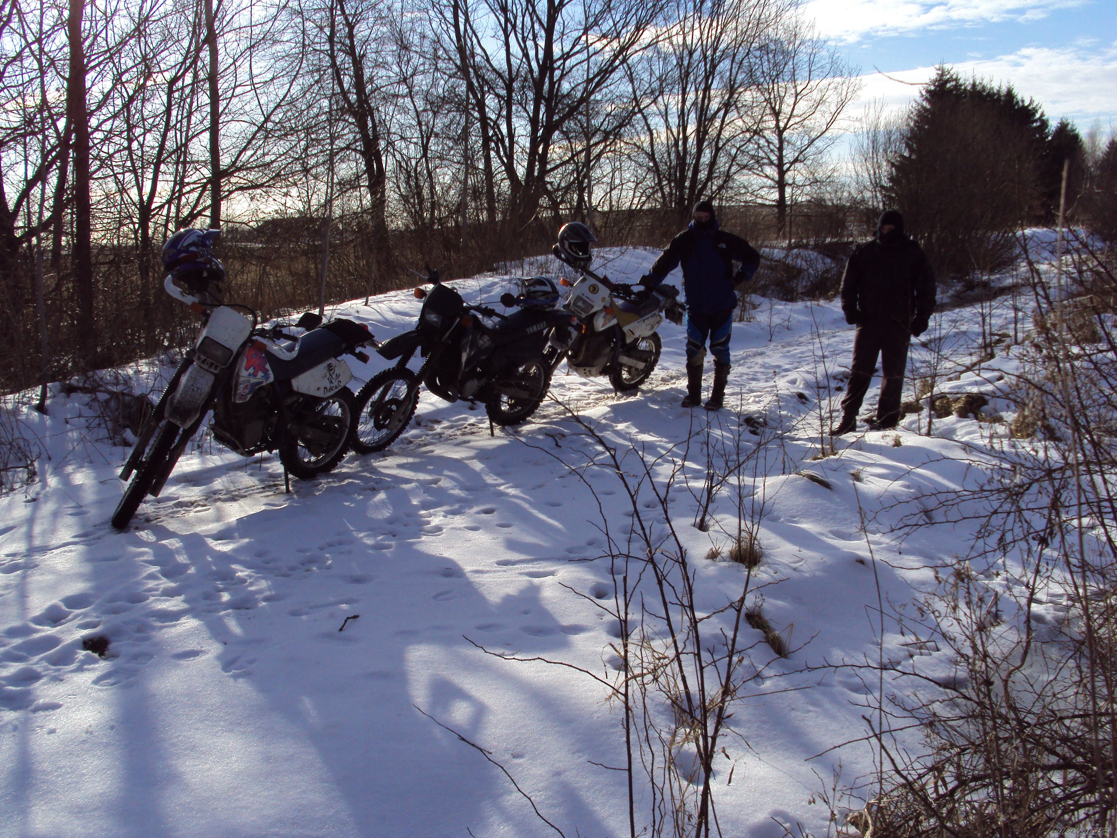 Photo 2523816