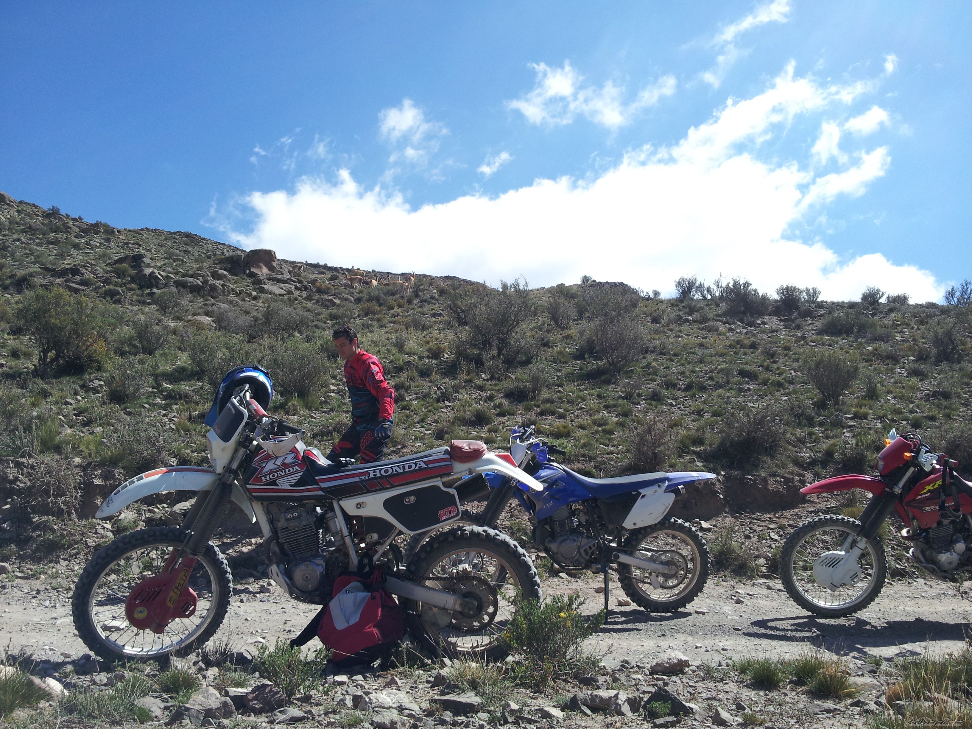 Photo 2523838