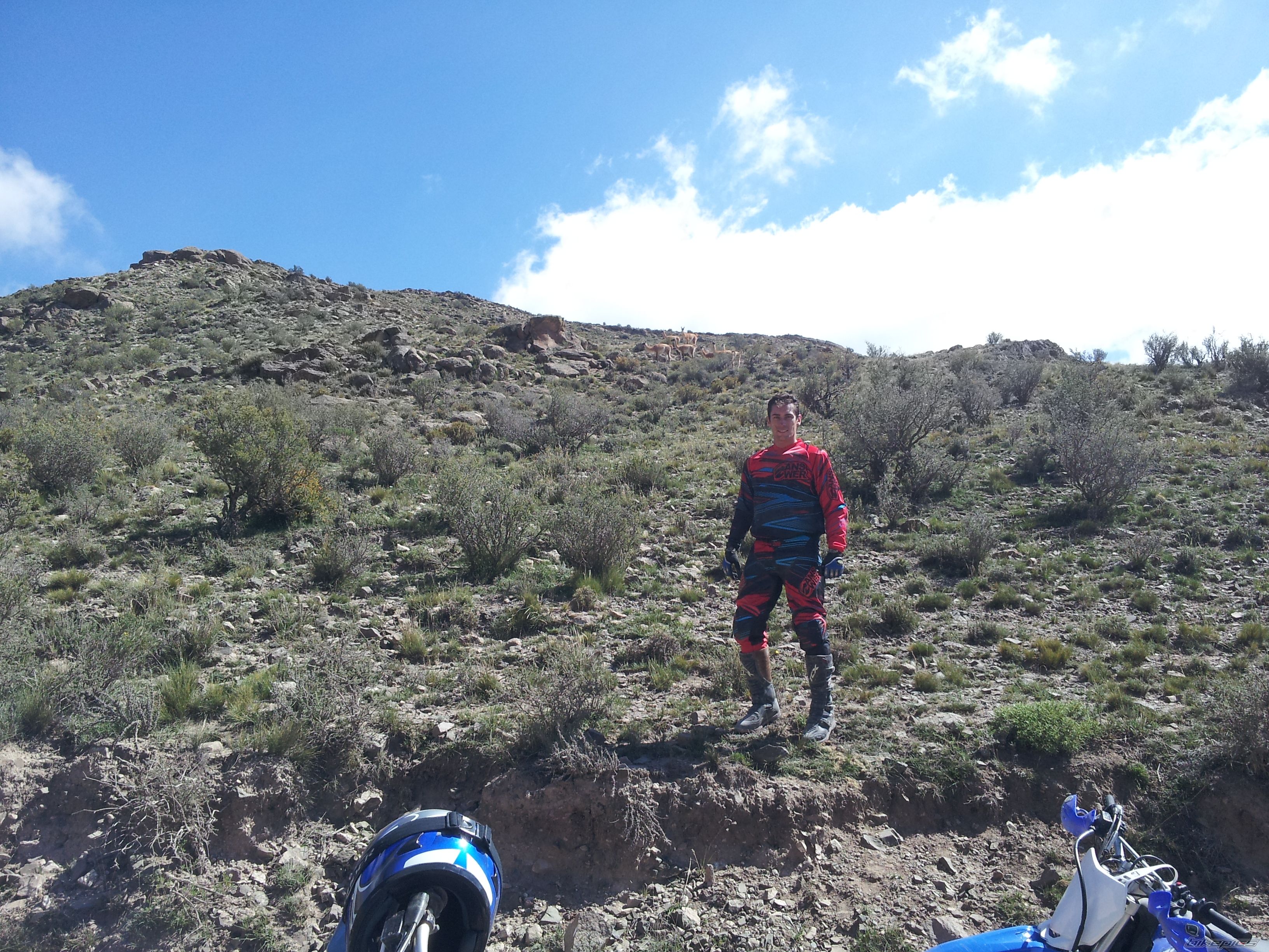 Photo 2523839