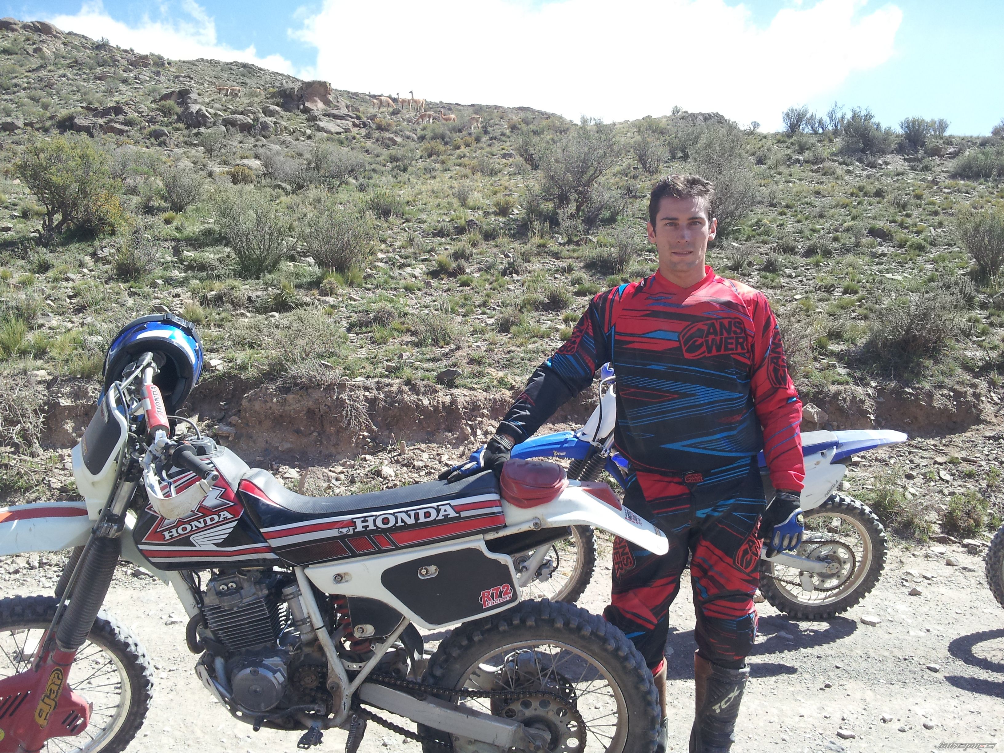 Photo 2523842