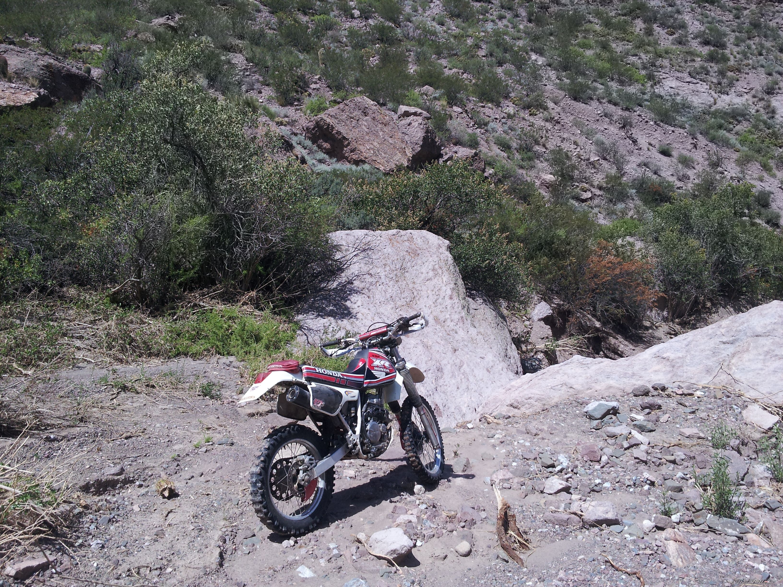 Photo 2523847
