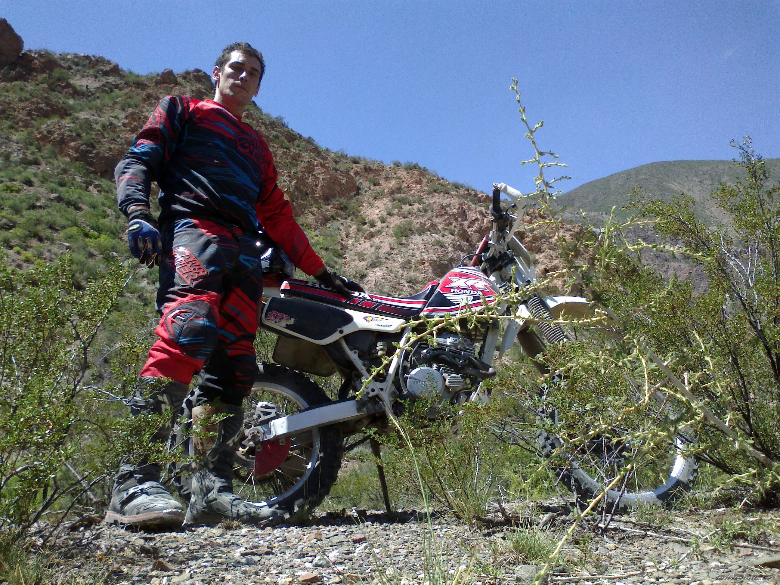 Photo 2523852