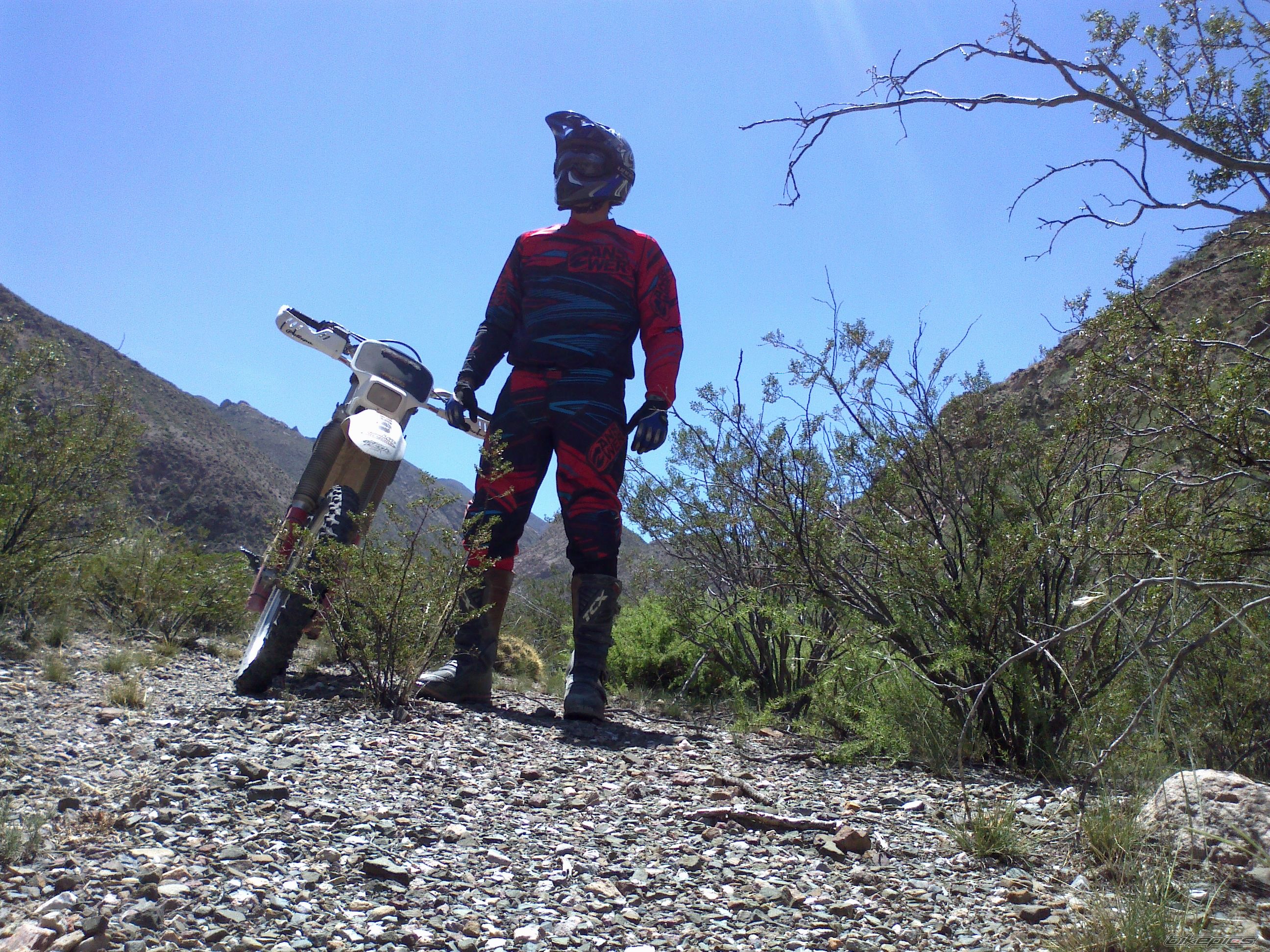 Photo 2523853
