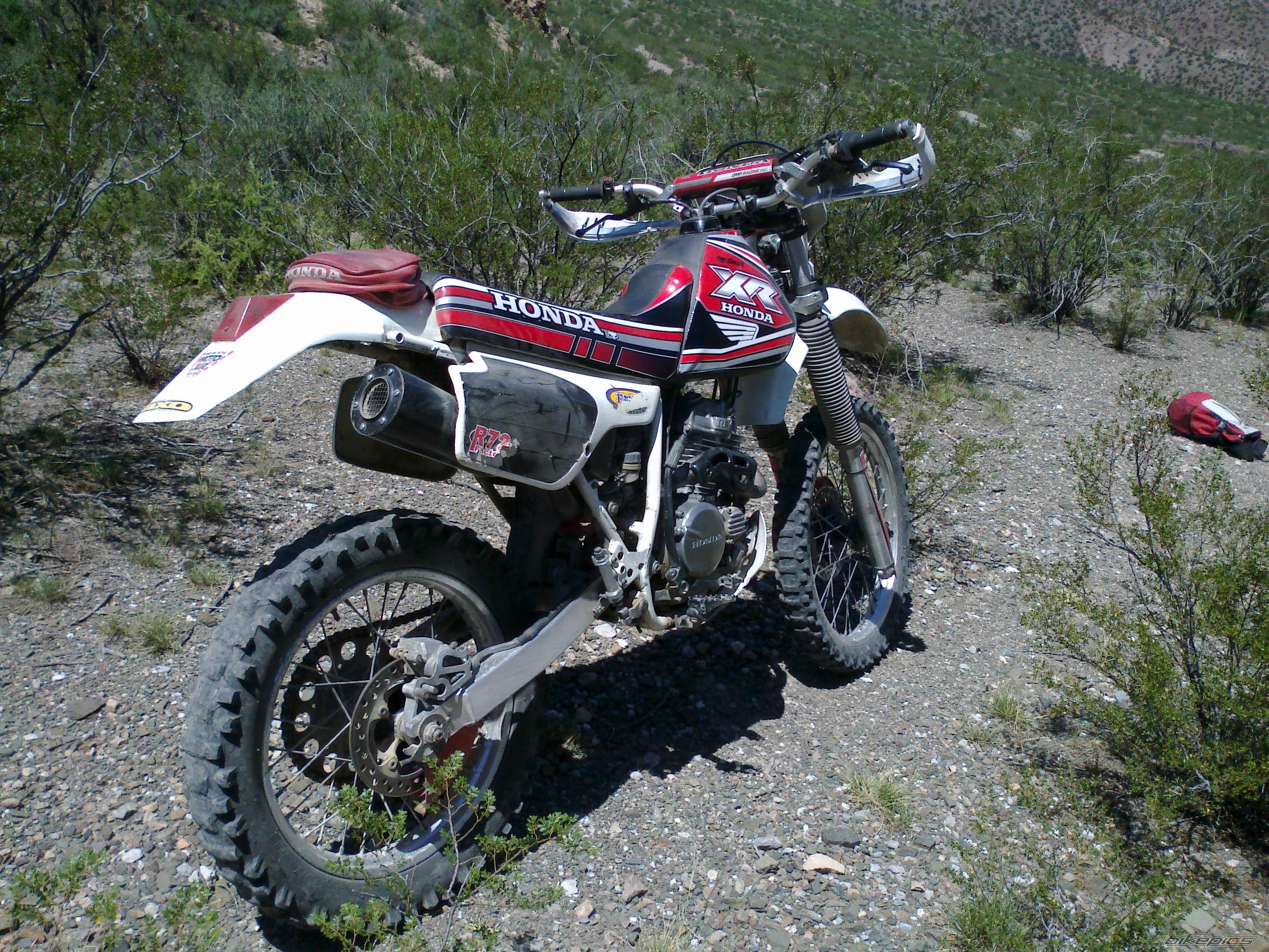 Photo 2523854