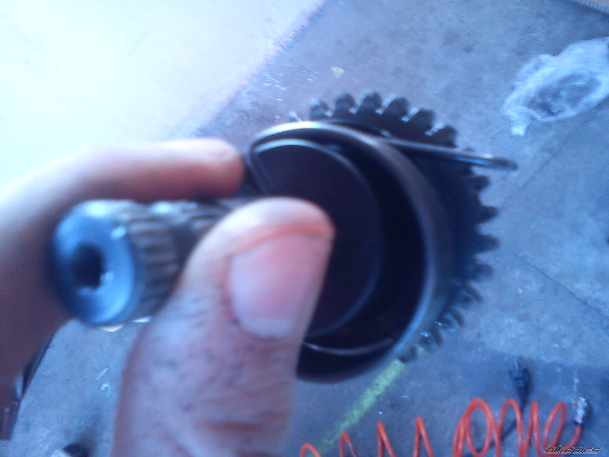 Photo 2523880