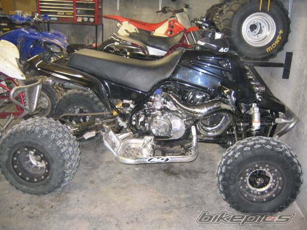 Photo 252389