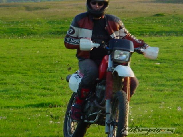 Photo 25239
