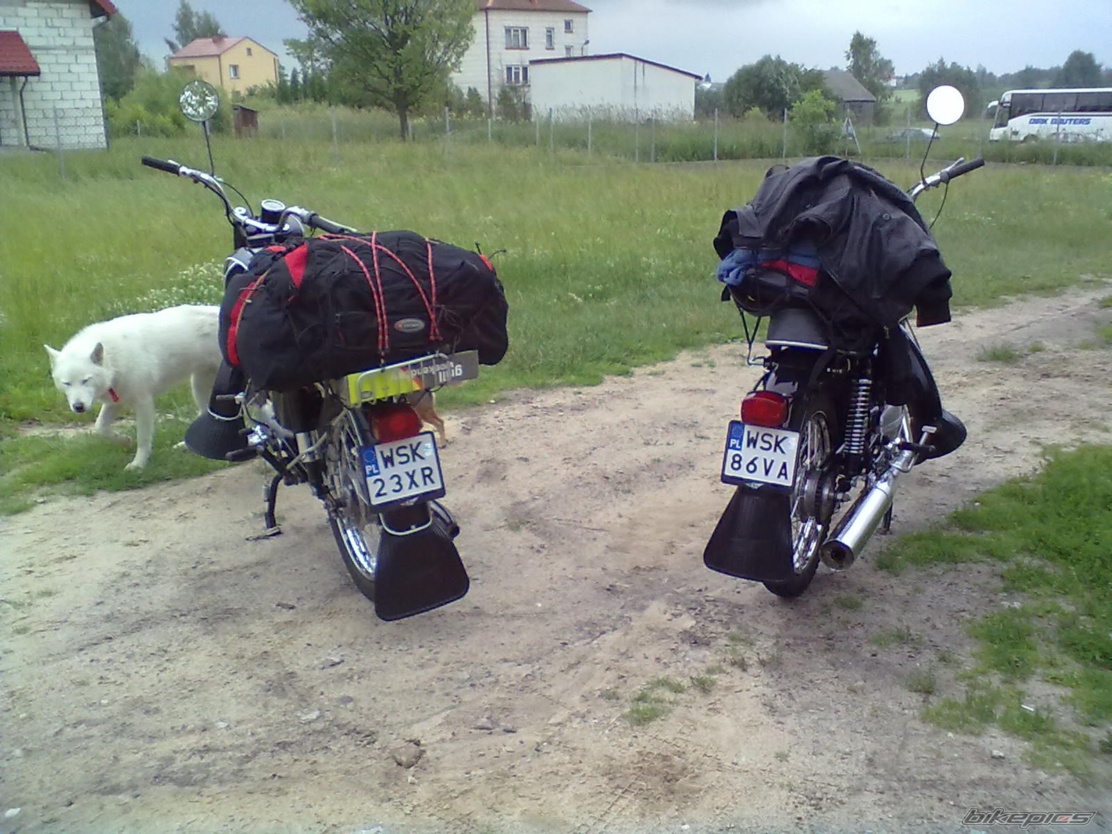 Photo 2523957