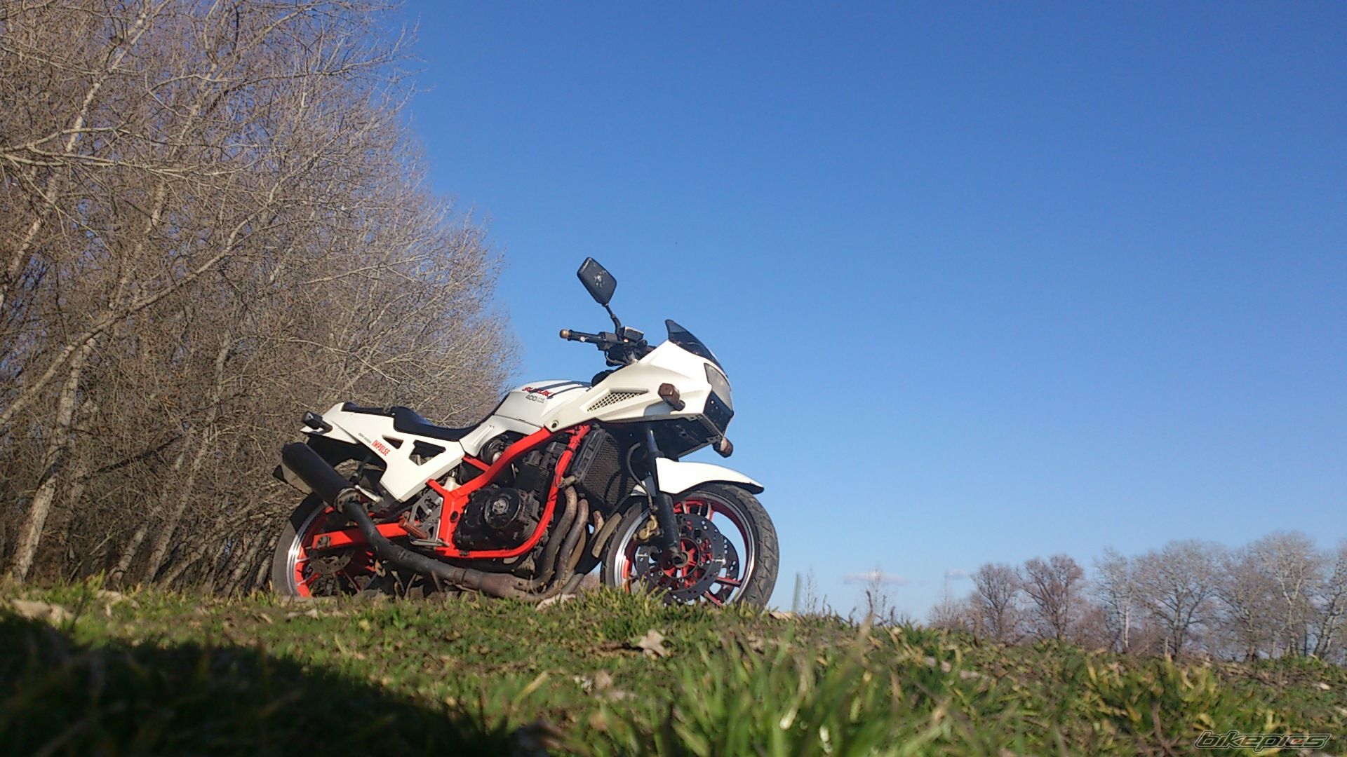 Photo 2524019