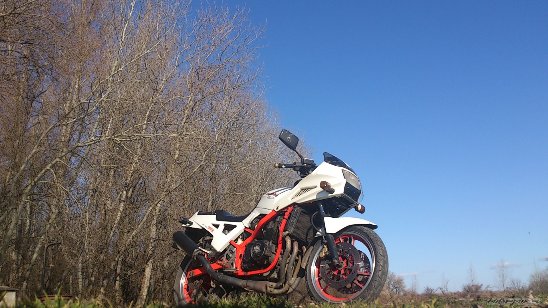 Photo 2524020