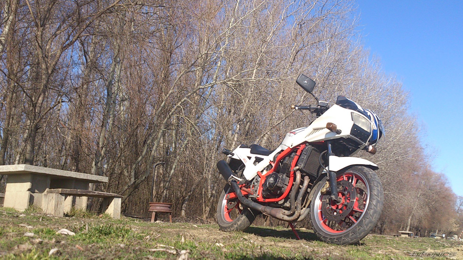 Photo 2524021
