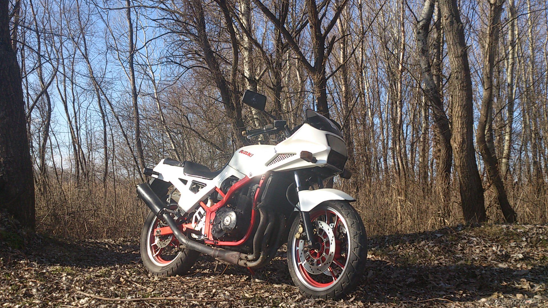 Photo 2524022
