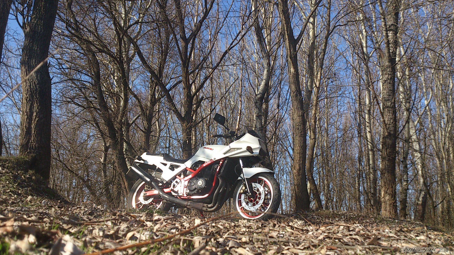 Photo 2524023