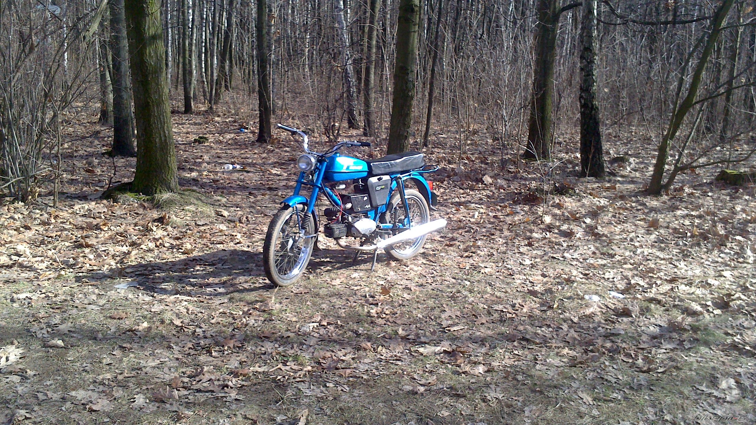 Photo 2524051
