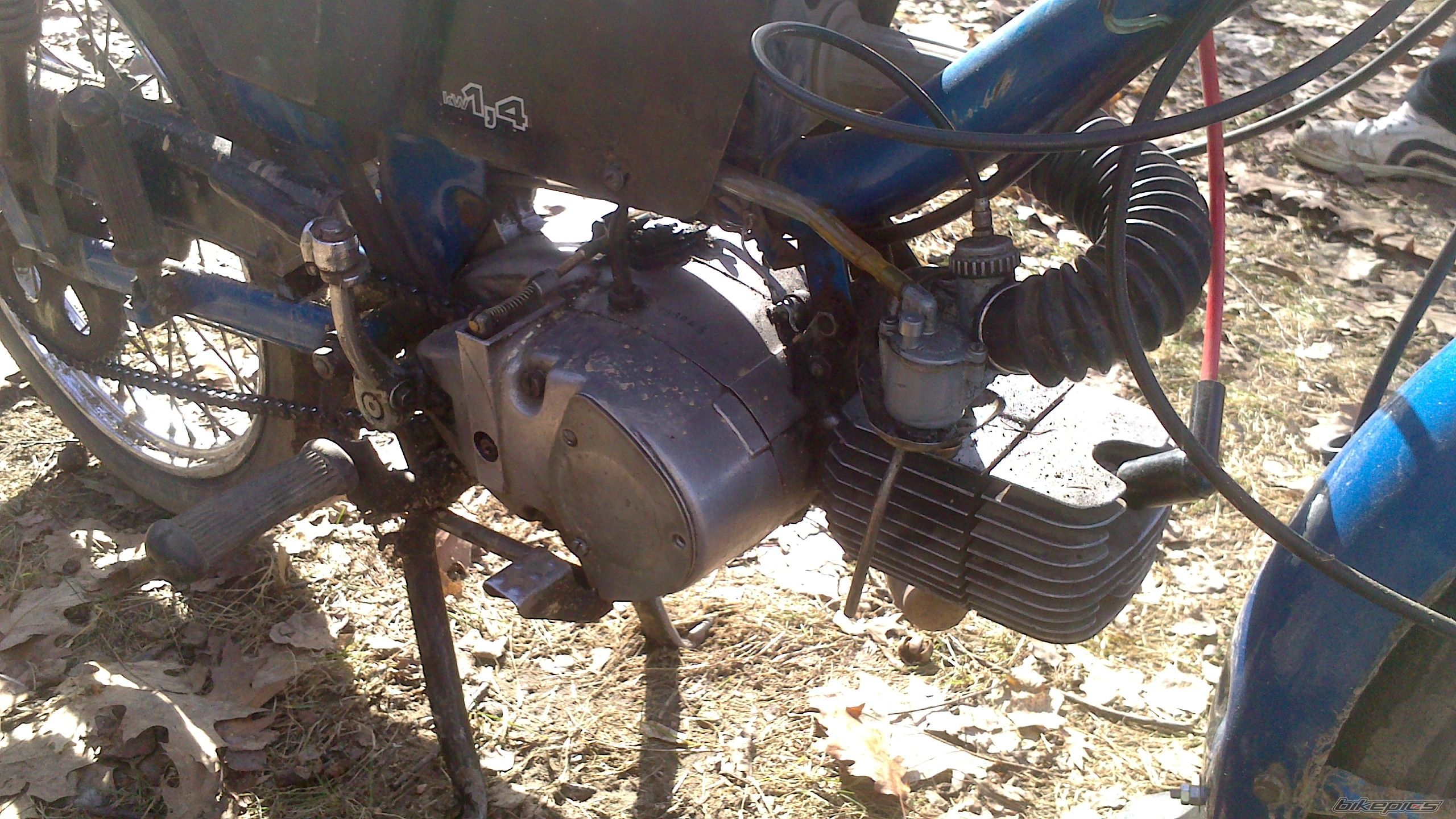 Photo 2524053