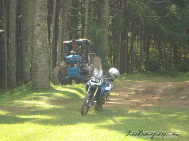 Photo 2524069