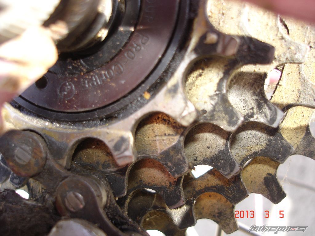 Photo 2524138