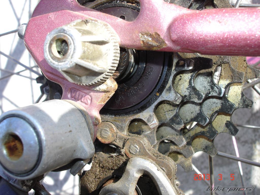 Photo 2524147