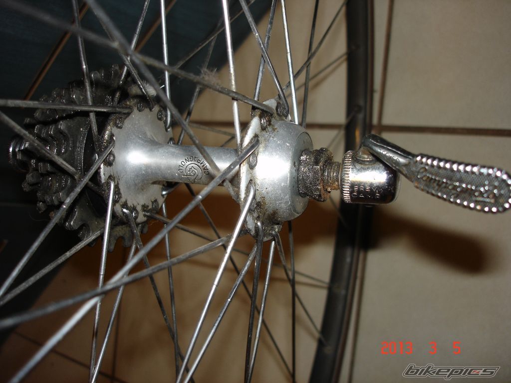 Photo 2524284