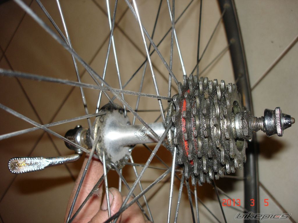 Photo 2524291