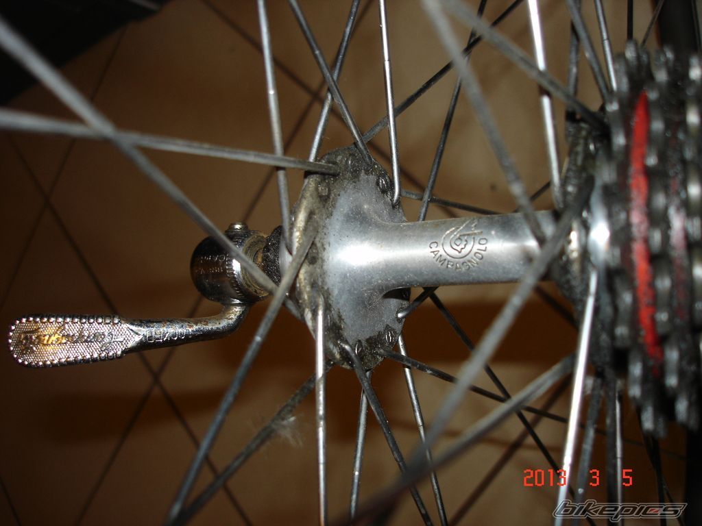 Photo 2524293