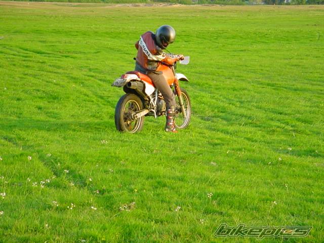 Photo 25243