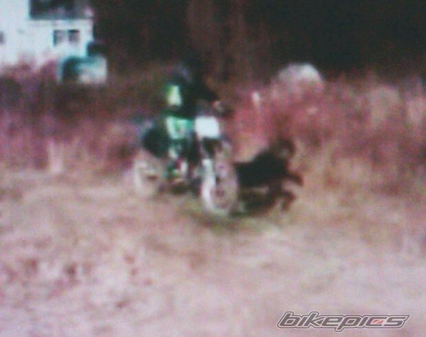 Photo 2524317