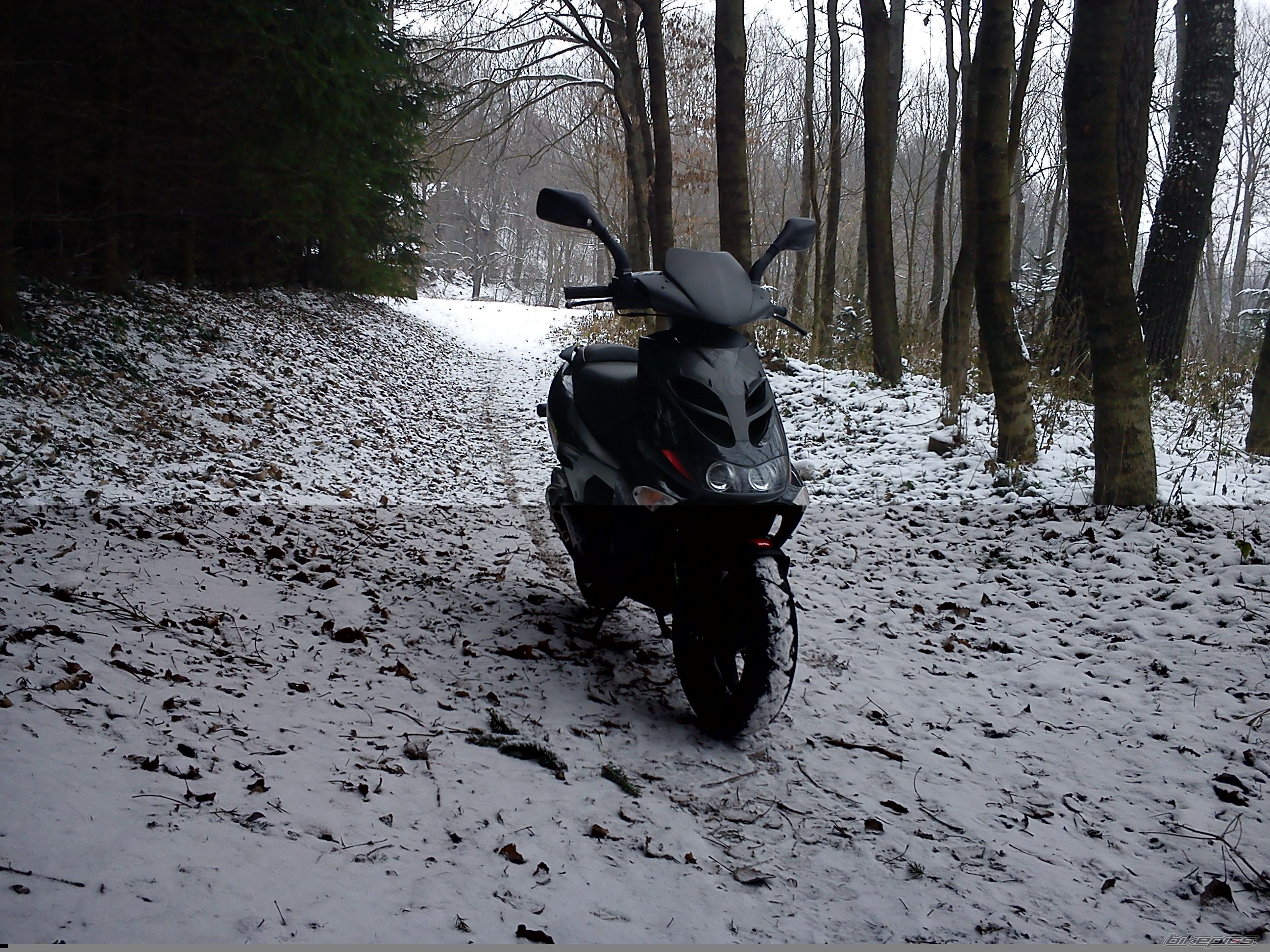 Bike Photo 2524384