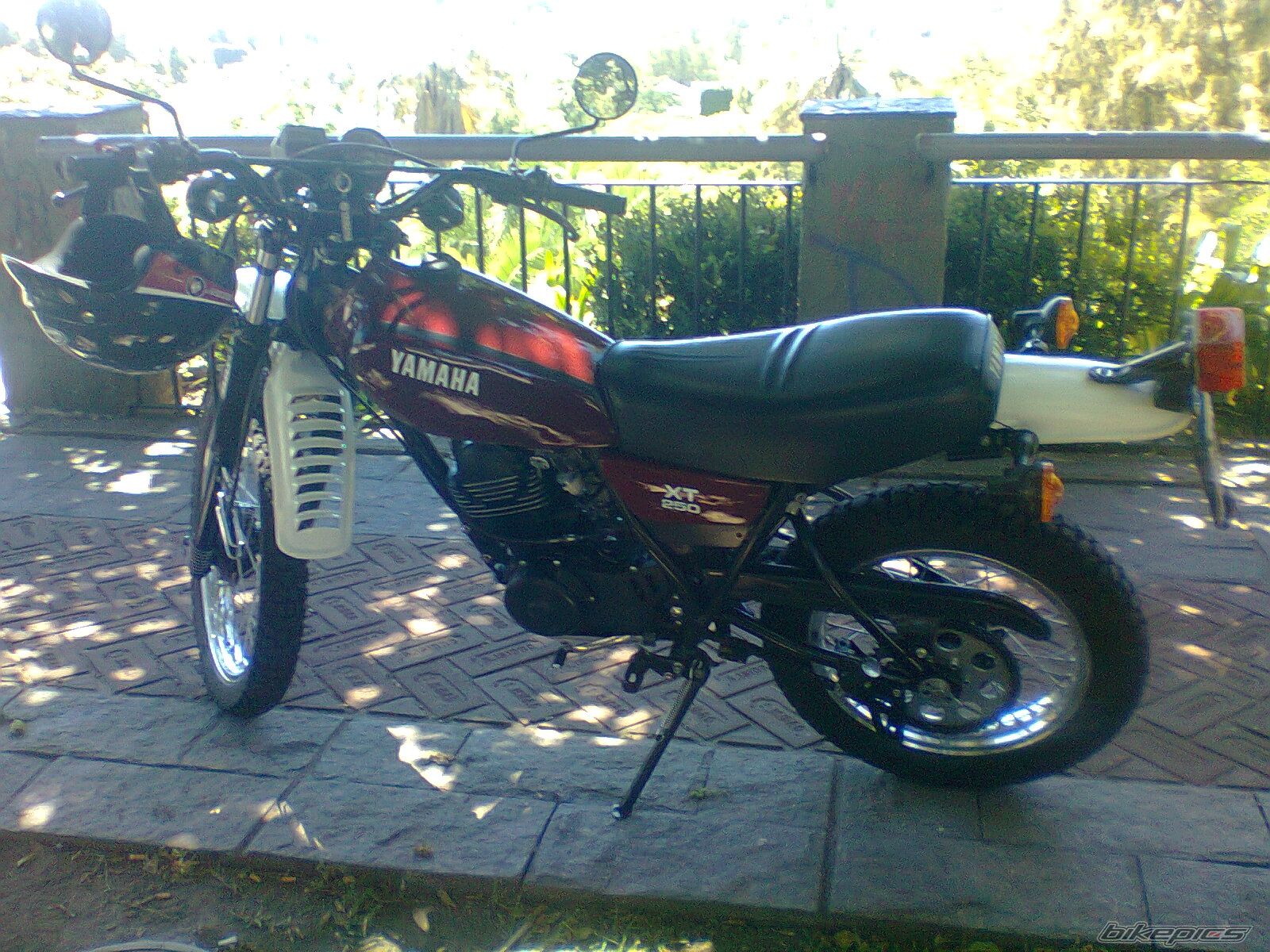 Photo 2524508