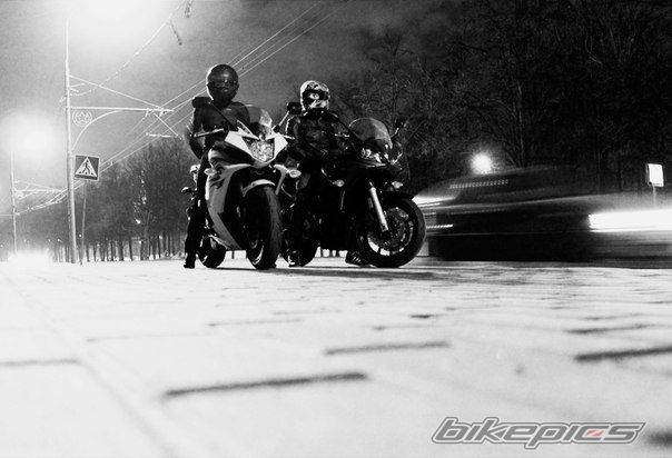 Photo 2524539