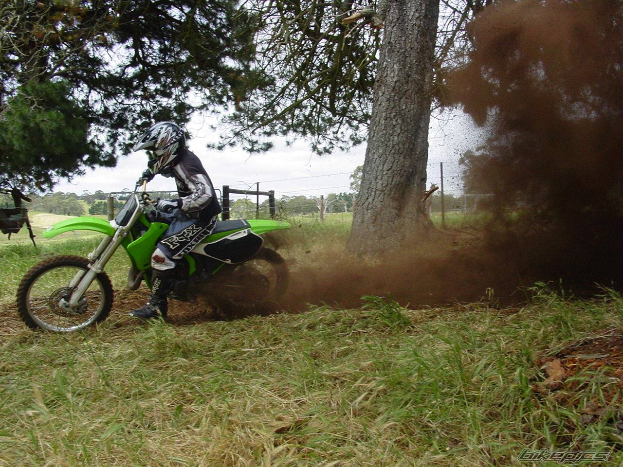 Bike Photo 252454