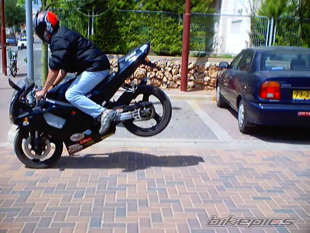 Photo 25247