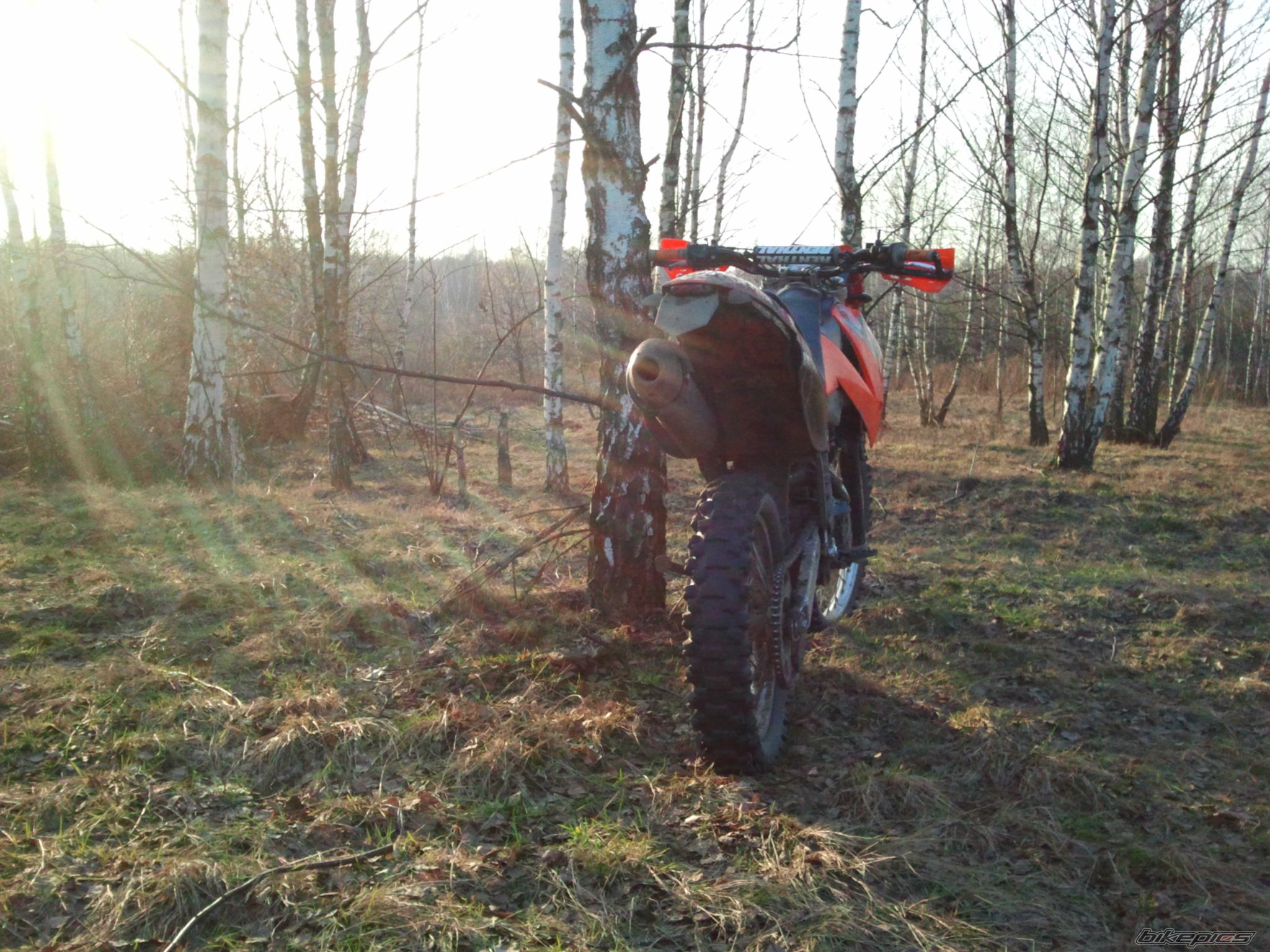 Photo 2524768