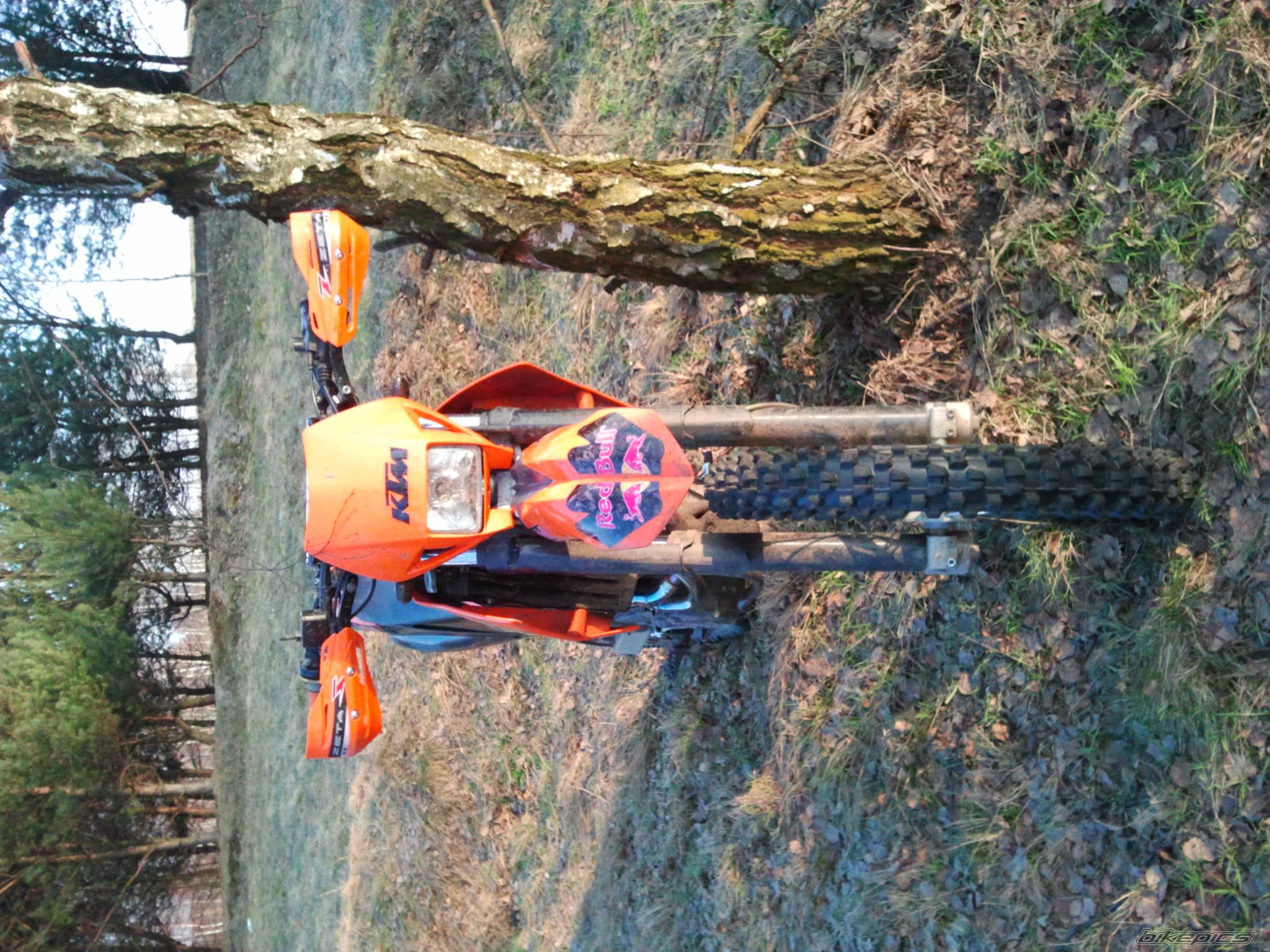 Photo 2524769