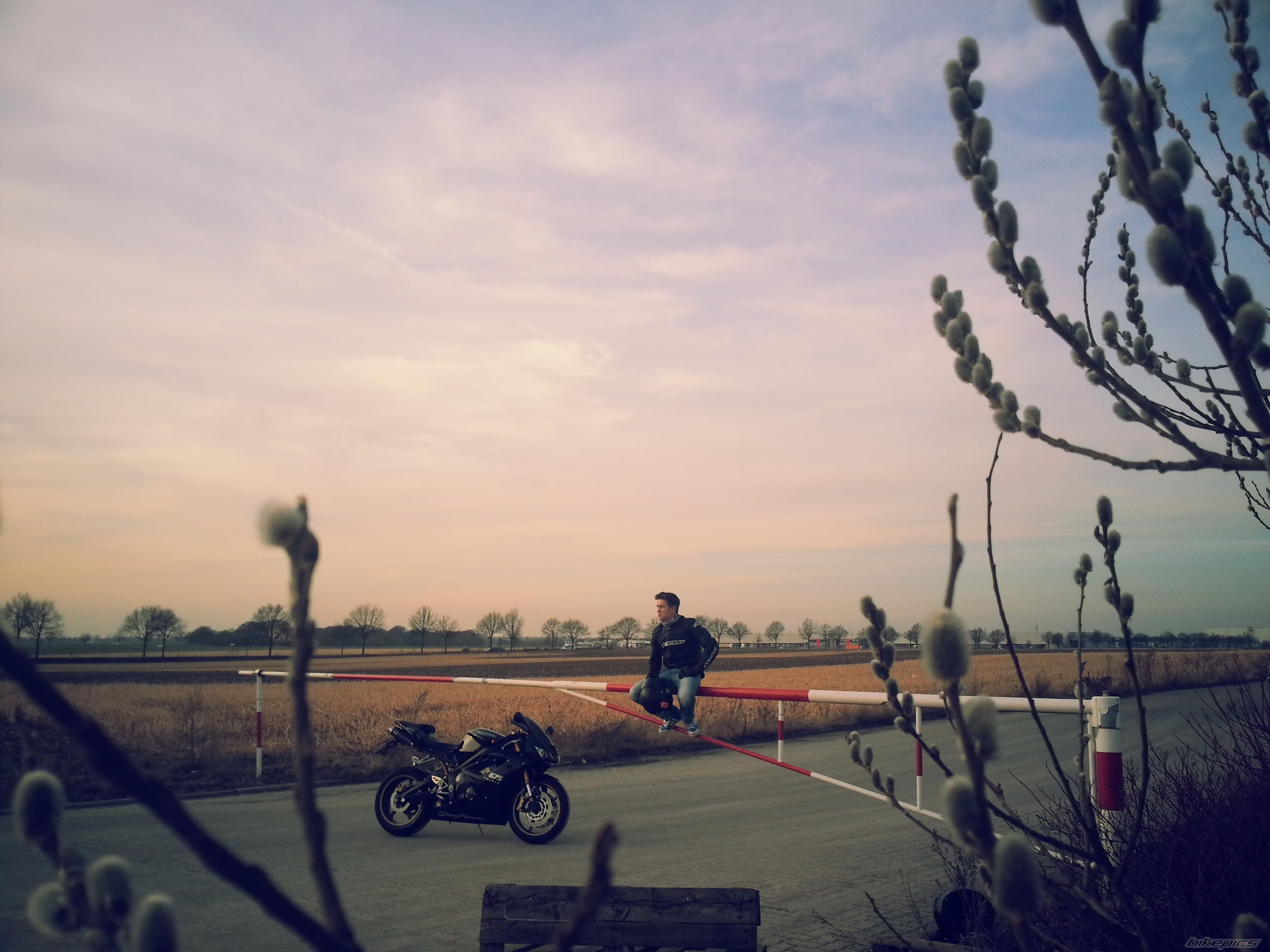 Photo 2524777