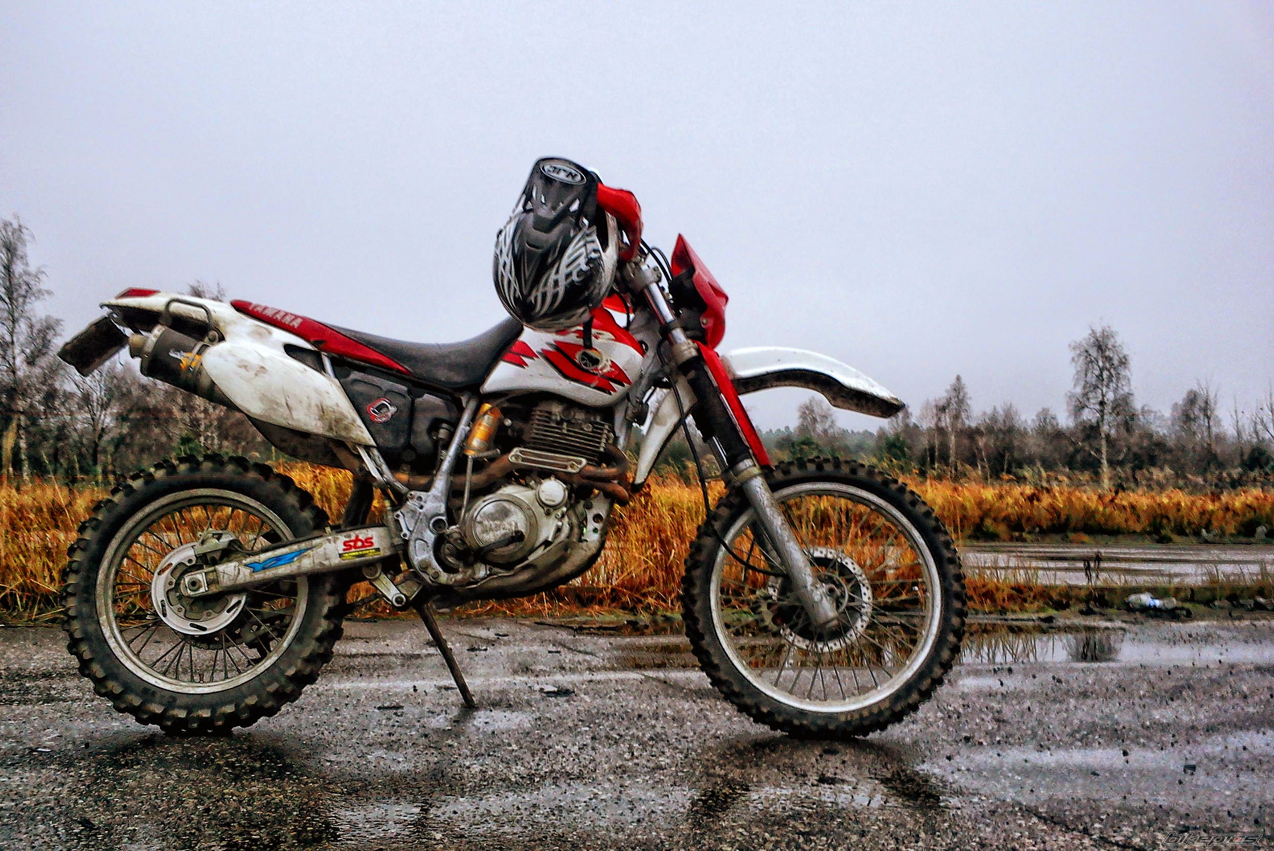 Photo 2524879