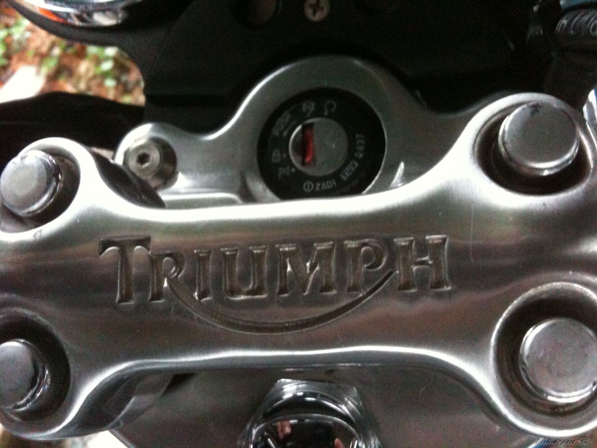 Photo 2524920