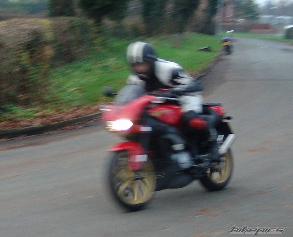 Photo 252493