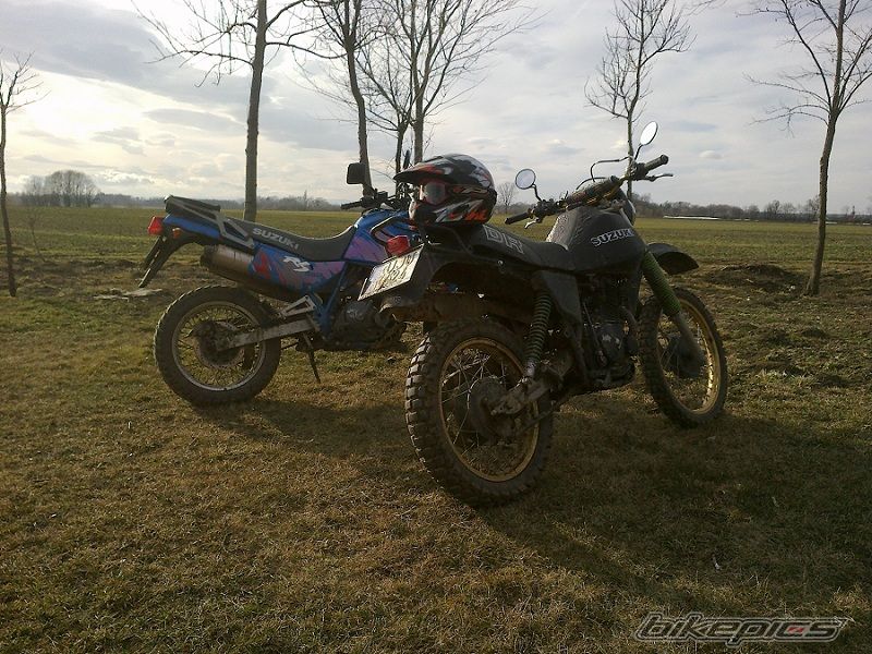 Photo 2524946