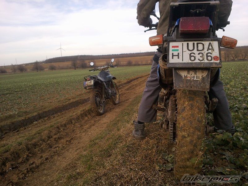 Photo 2524947
