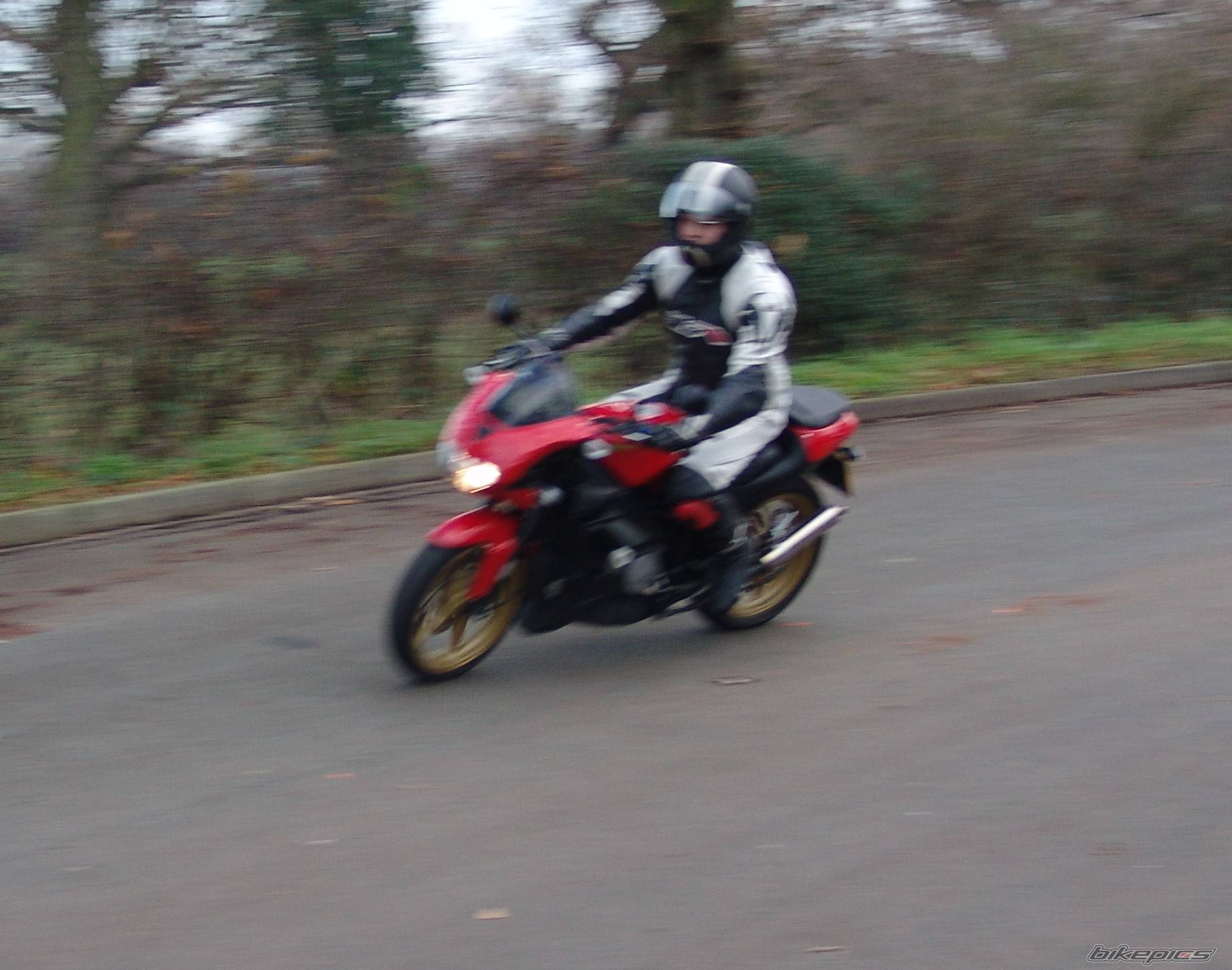 Photo 252495
