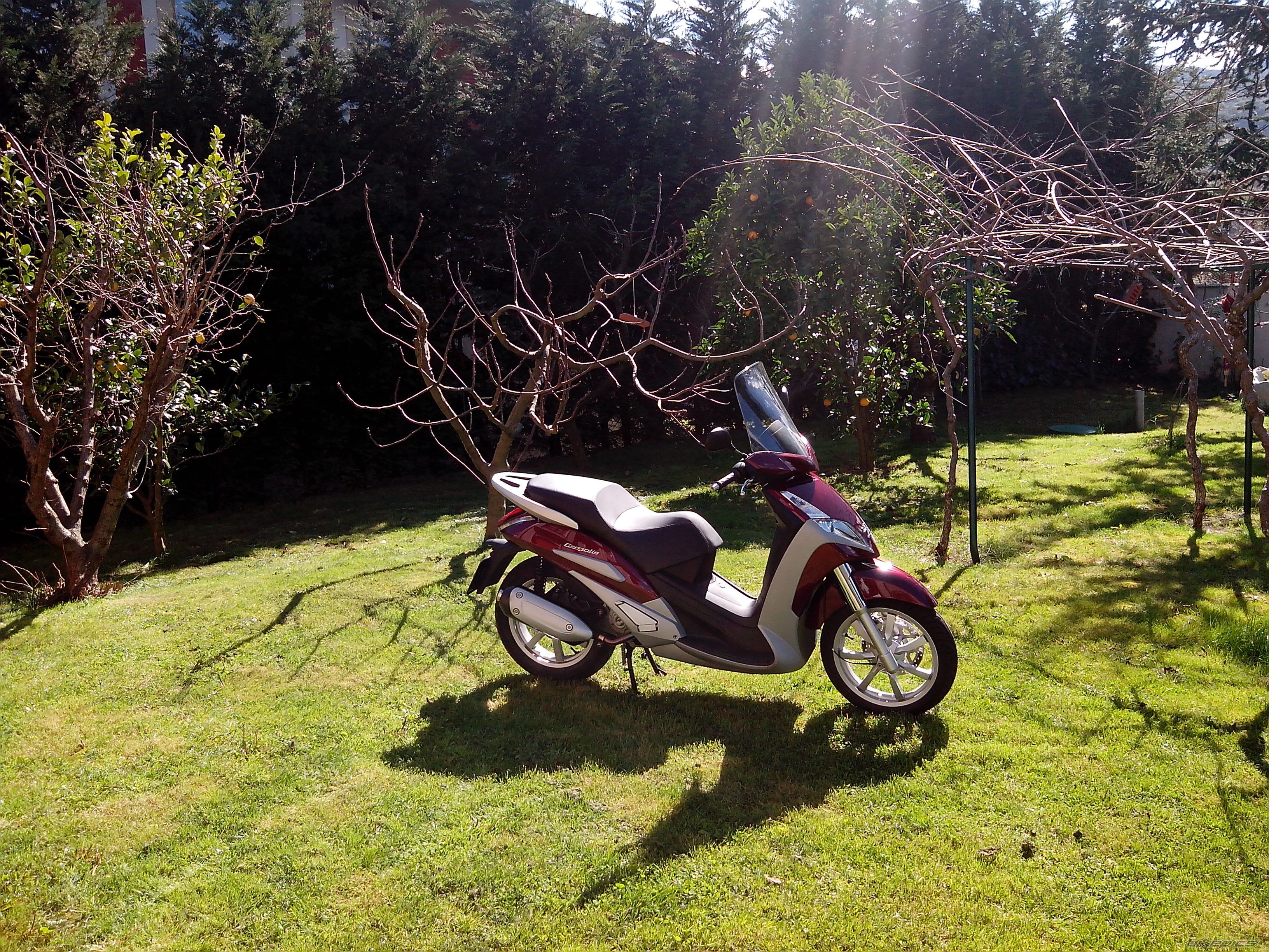 Photo 2524974